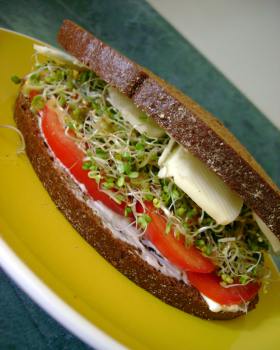 бутерброд фото